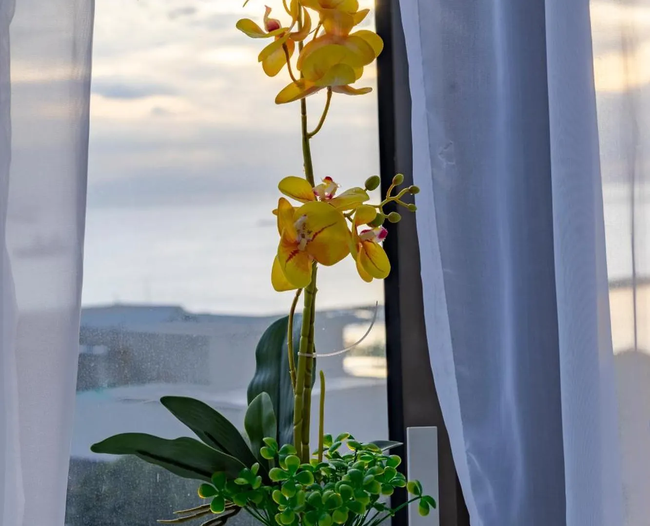 パサイ The Radiance Manila Bayアパートホテル